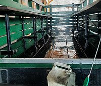 8 Feldbahn 600mm (6).jpg